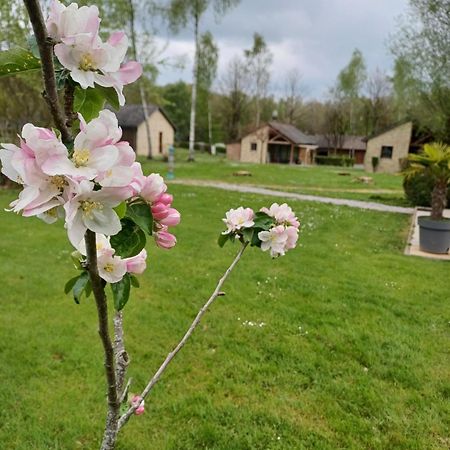 Gite Classe Deux Etoiles Gite De France N 17 Signy-Le-Petit Kültér fotó